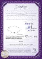 Product certificate: AK-W-AA-67-N-Station