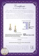Product certificate: AK-W-AA-78-E-Georgia