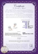 Product certificate: AK-W-AA-89-E