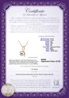 Product certificate: AK-W-AA-89-P-Dionne