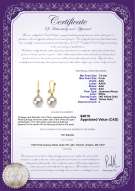 Product certificate: AK-W-AAA-78-E-Illuminate
