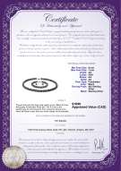 Product certificate: B-AA-67-S