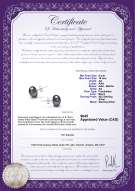 Product certificate: B-AA-910-E-SS