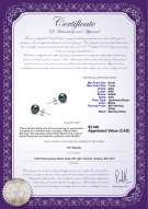 Product certificate: B-AAA-657-E-Akoy