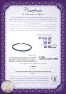 Product certificate: B-AAA-758-N-Akoy