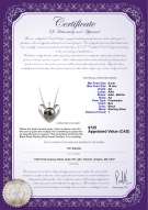 Product certificate: B-Fresh-pend-S-910-Heart