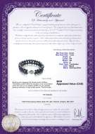 Product certificate: FW-B-A-67-B-DBL