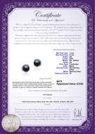 Product certificate: FW-B-AA-78-E-Louisa
