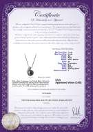 Product certificate: FW-B-AA-78-P-Claudia