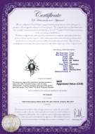 Product certificate: FW-B-AA-78-P-Fishbone