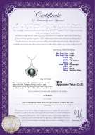 Product certificate: FW-B-AA-78-P-Shell