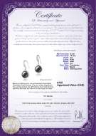 Product certificate: FW-B-AA-910-E-Holly