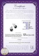 Product certificate: FW-B-AA-910-E-Isabella