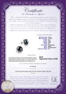 Product certificate: FW-B-AA-910-E-Kelly