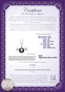 Product certificate: FW-B-AA-910-P-Angel