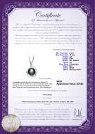 Product certificate: FW-B-AA-910-P-Bobbie