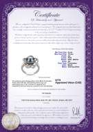 Product certificate: FW-B-AA-910-R-Fiona