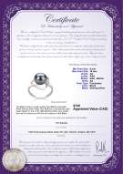 Product certificate: FW-B-AA-910-R-Sadie
