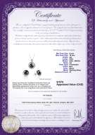 Product certificate: FW-B-AA-910-S-Kelly