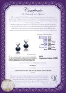 Product certificate: FW-B-AAA-89-E-Heart