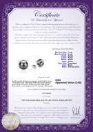 Product certificate: FW-B-AAAA-78-E-Britt