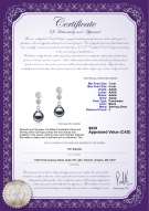 Product certificate: FW-B-AAAA-78-E-Colleen
