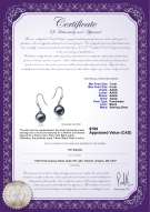 Product certificate: FW-B-AAAA-78-E-Yoko