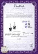 Product certificate: FW-B-AAAA-89-E-Eiffer-Tower