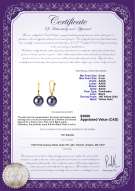 Product certificate: FW-B-AAAA-89-E-Elements