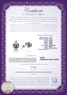 Product certificate: FW-B-AAAA-89-E-Evelyn