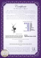Product certificate: FW-BW-AAAA-67-P-Davina