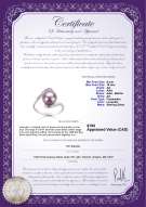 Product certificate: FW-L-AA-910-R-Chantel