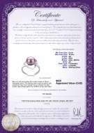 Product certificate: FW-L-AA-910-R-Sadie
