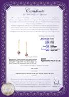 Product certificate: FW-L-AAAA-67-E-Misha