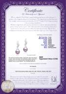 Product certificate: FW-L-AAAA-78-E-Edith