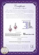 Product certificate: FW-L-AAAA-78-E-Valery