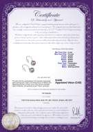 Product certificate: FW-L-AAAA-885-E-Yoko