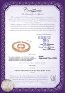 Product certificate: FW-P-A-67-S-DBL