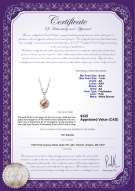 Product certificate: FW-P-AA-67-P-Vera
