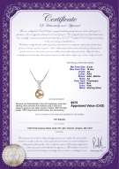 Product certificate: FW-P-AA-910-P-Nancy