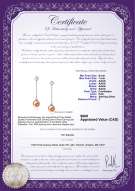 Product certificate: FW-P-AAAA-67-E-Ingrid