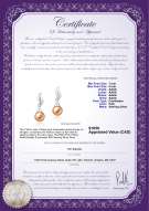 Product certificate: FW-P-AAAA-78-E-Edith