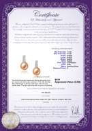 Product certificate: FW-P-AAAA-78-E-Valery