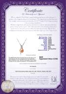 Product certificate: FW-P-AAAA-78-P-Destina