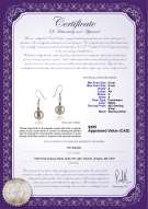 Product certificate: FW-W-A-89-E-Teresa