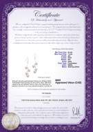 Product certificate: FW-W-AA-67-E-Mickey