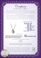 Product certificate: FW-W-AA-78-P-Claudia