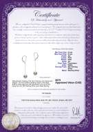 Product certificate: FW-W-AA-89-E-Amy