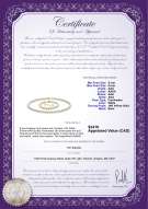 Product certificate: FW-W-AAA-556-S