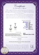 Product certificate: FW-W-AAA-611-E-Zelda